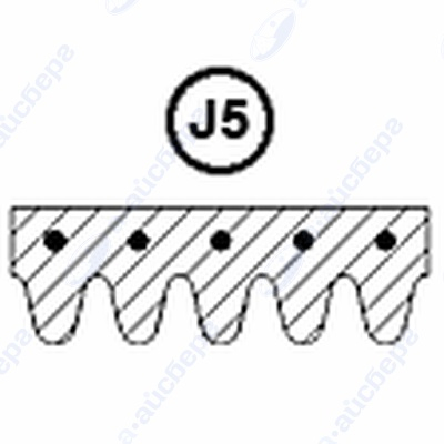 Ремень 1262 J5 Whirlpool 481935810038